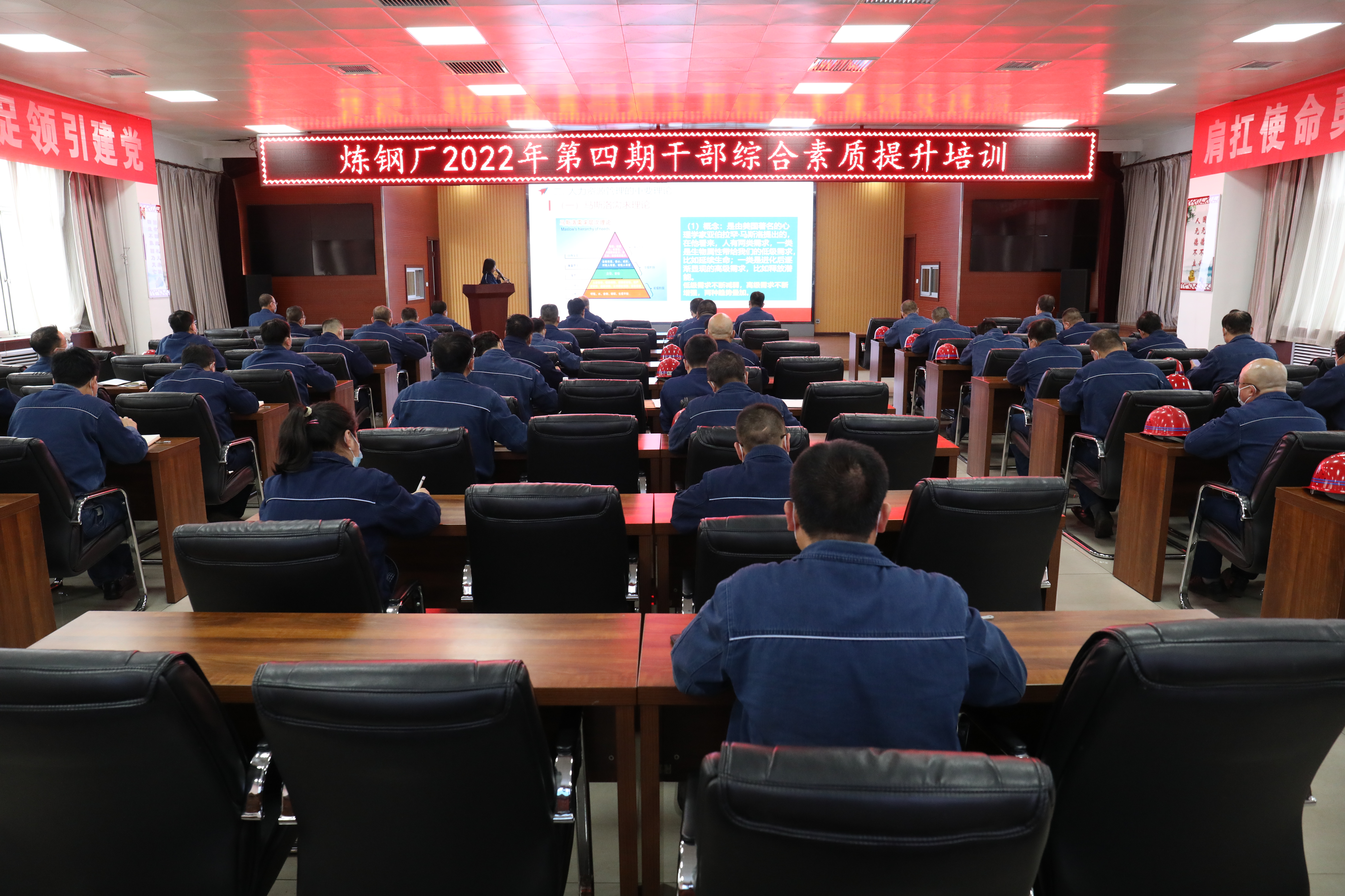 ��ֲ��ɫ��Ӗ(x��n)�wϵ �����˲ų��L(zh��ng)�ߵ�