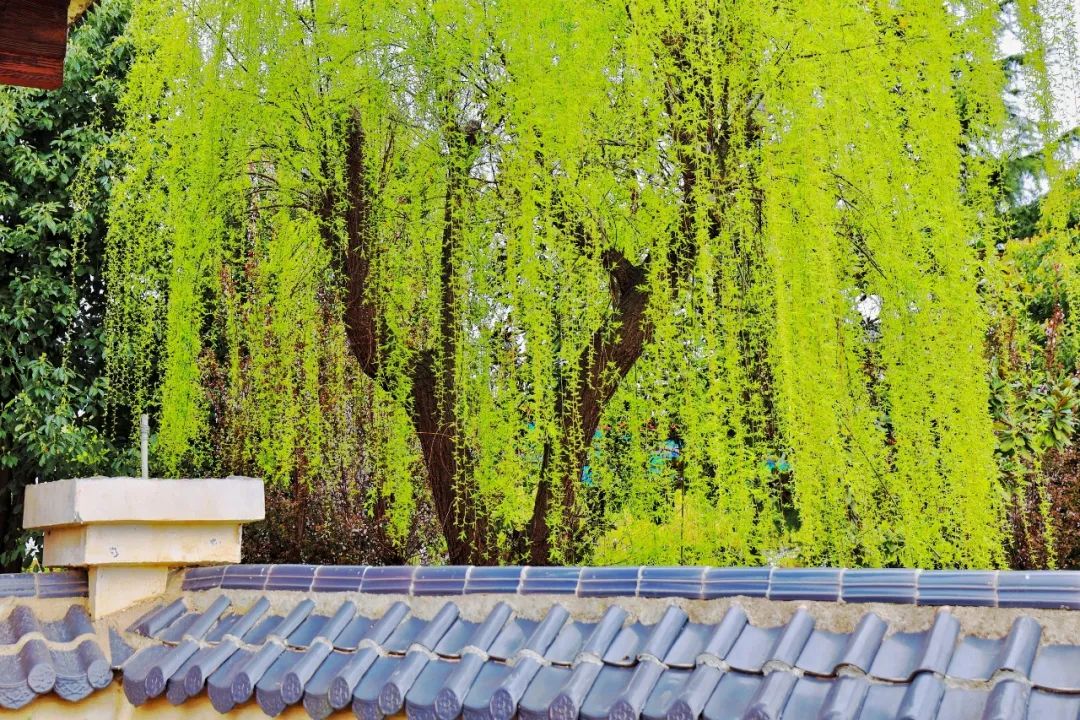 ̽��������������