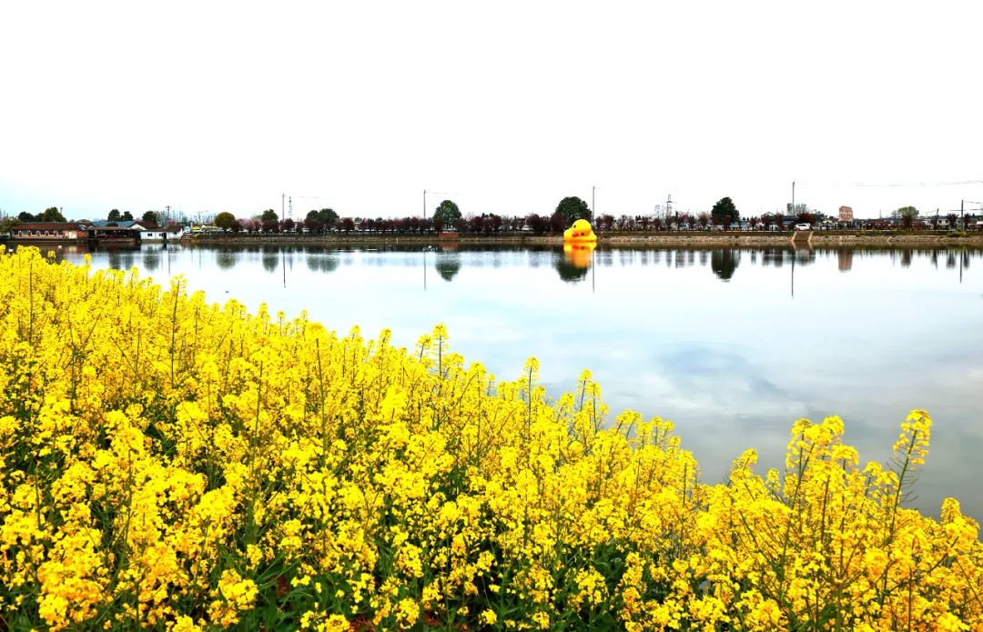 ̽��������������