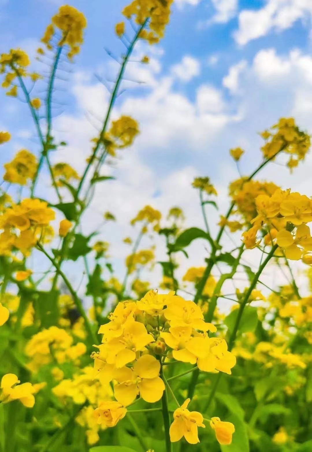 �����h���ϼ�