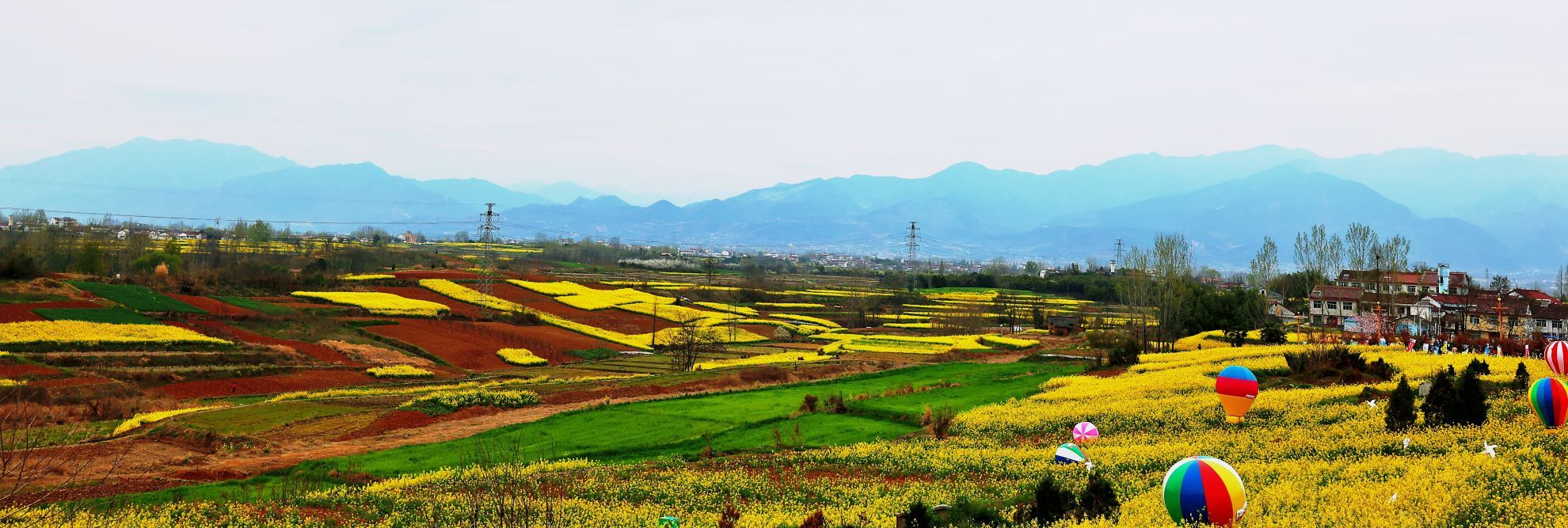 �����h���ϼ�