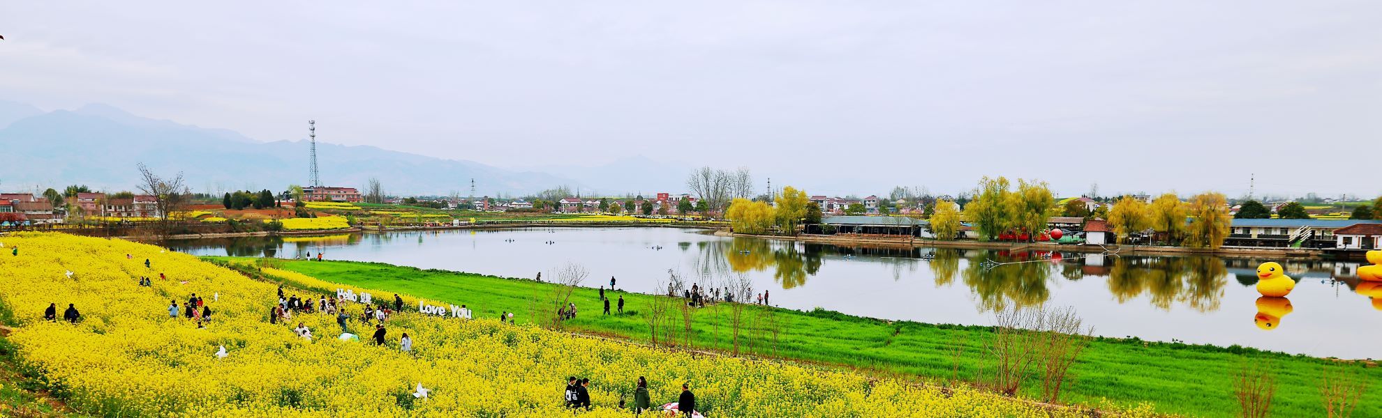 �����h���ϼ�