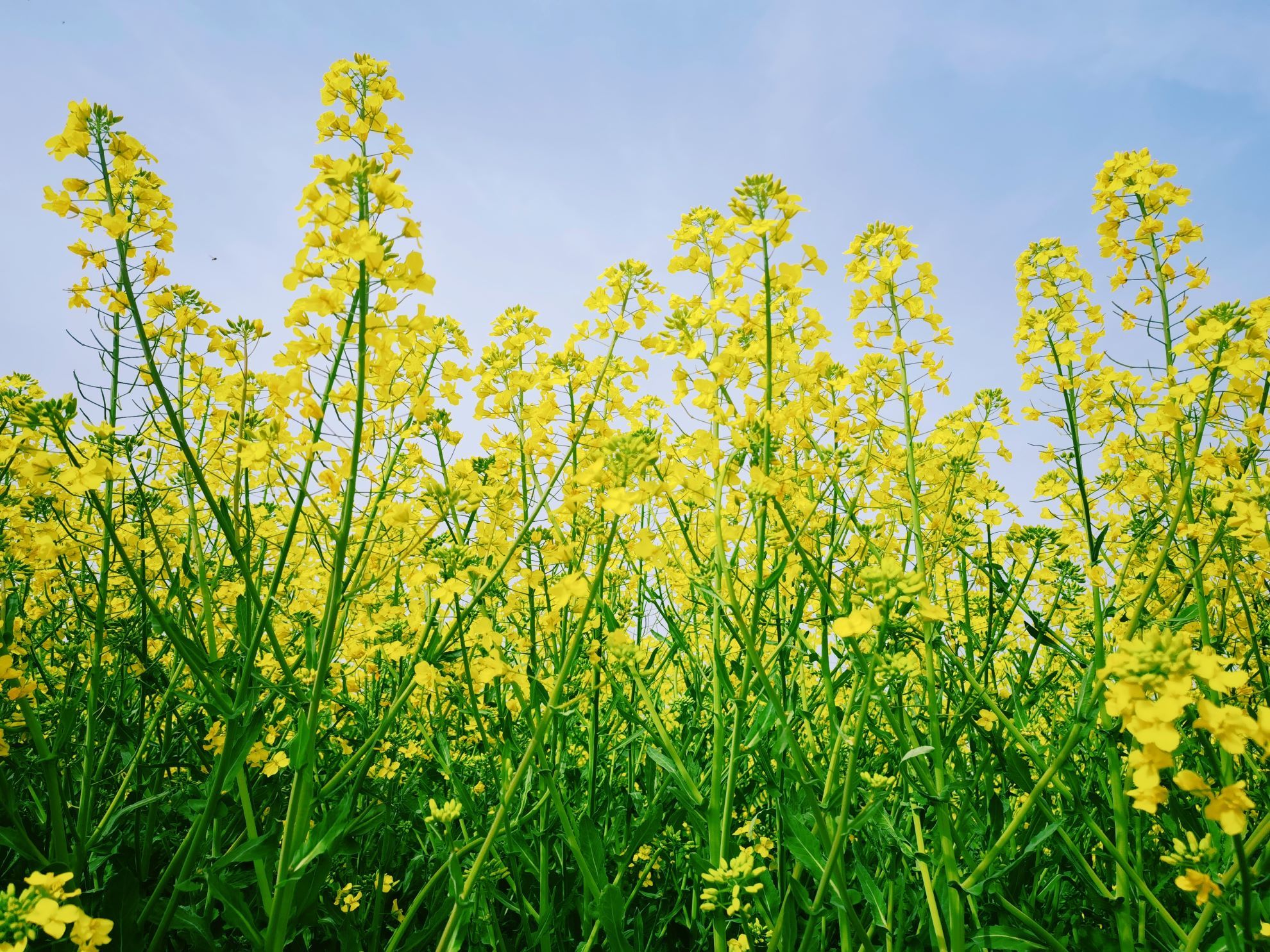 �����h���ϼ�