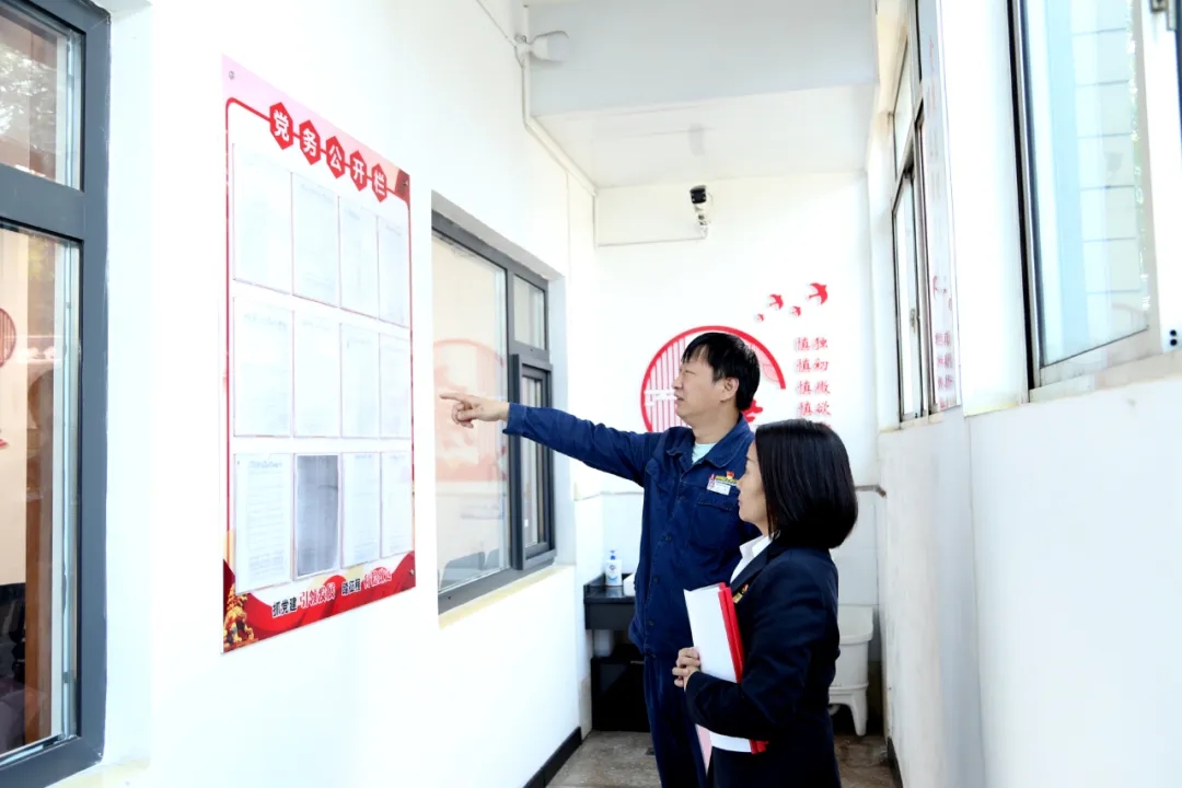 �۽����ĺݰl(f��)��  �������L(f��ng)��Ч��