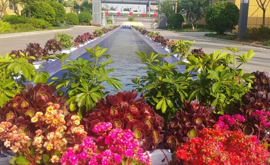 龍鋼公司:綠色發展繪出幸福底色 龍鋼公司:綠色發展繪出幸福底色