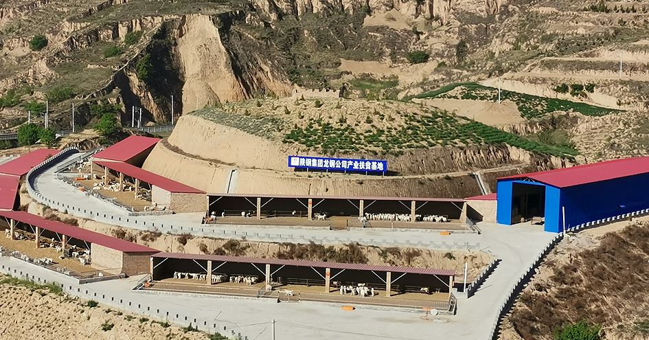 �䓼��F�s�@�����l�����d������험s�u