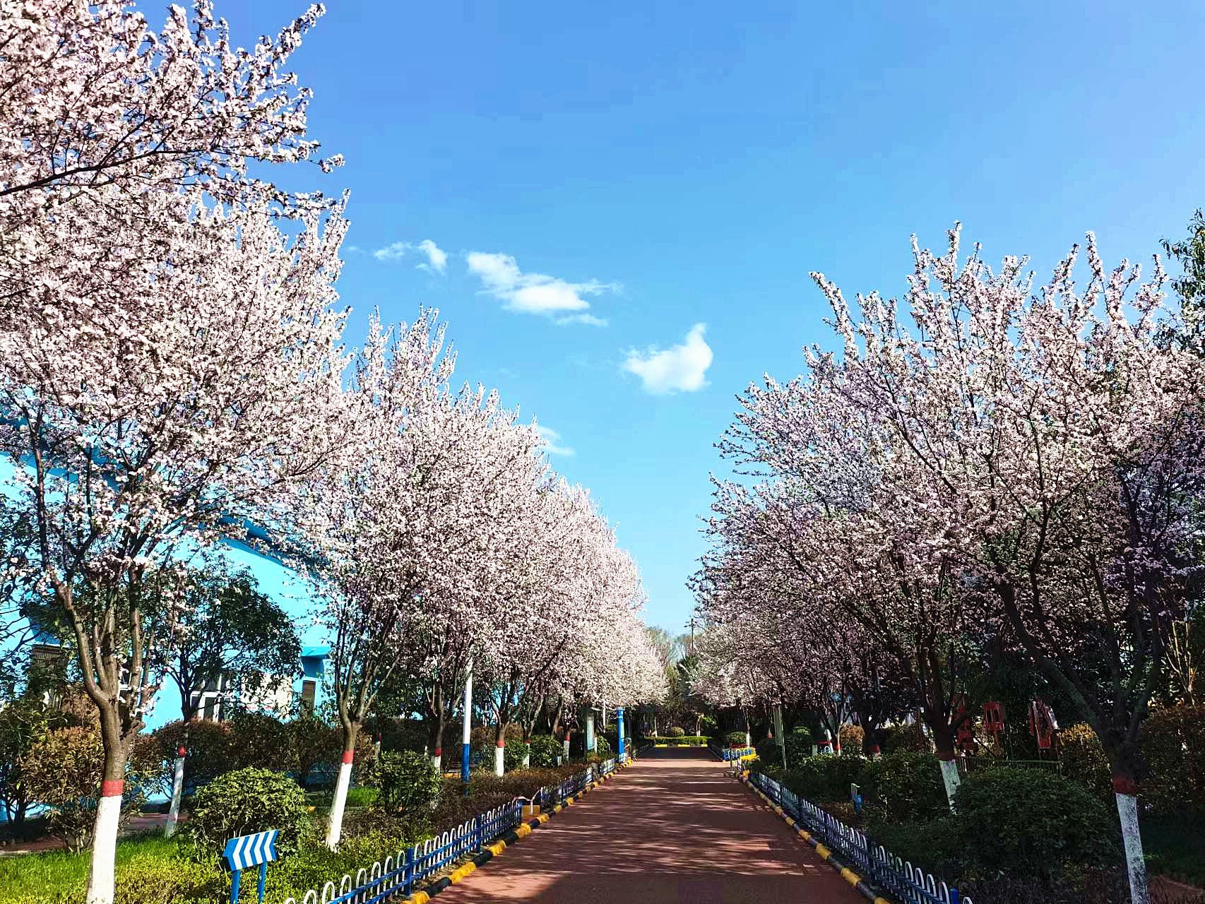 ���m�������G�U�G�a�G �����h��L�;Gɫ�lչ��ƪ��