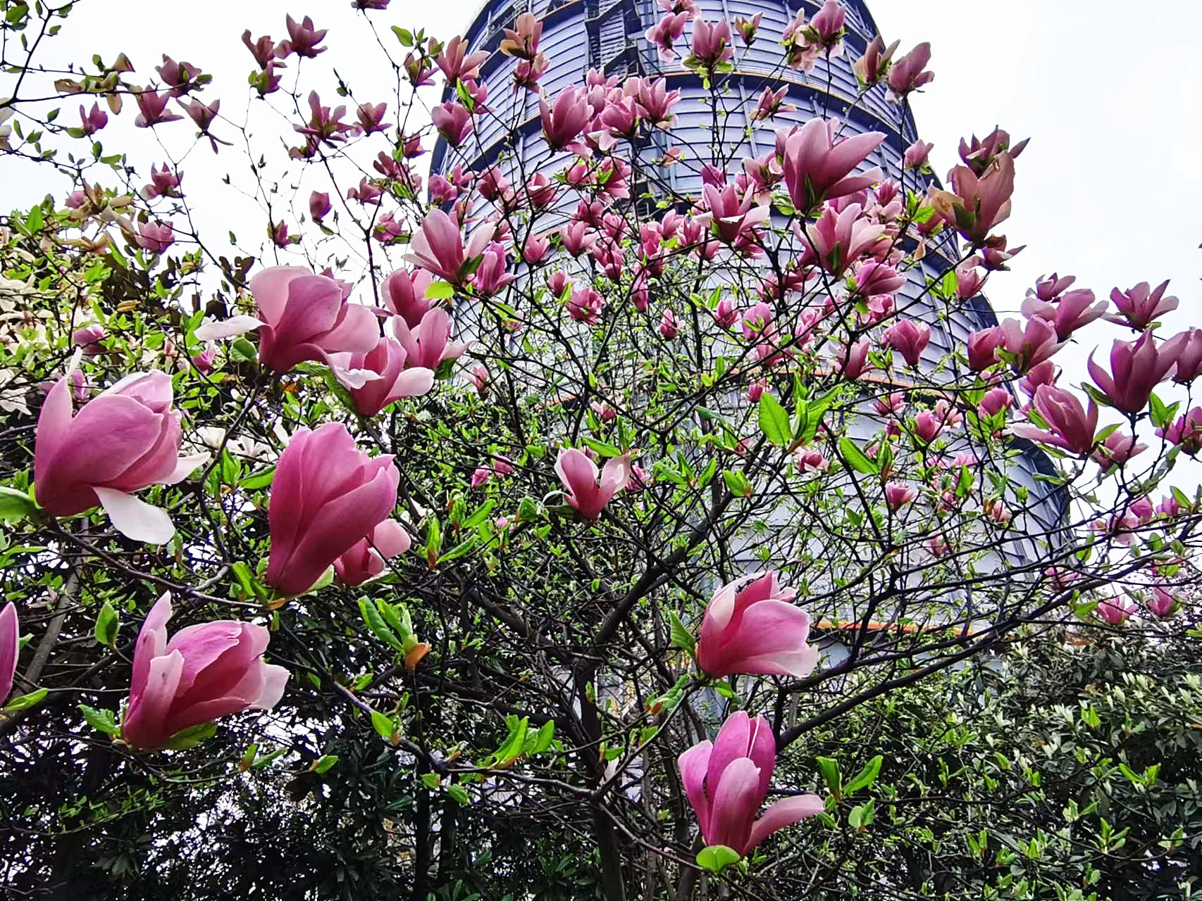 ���m�������G�U�G�a�G �����h��L�;Gɫ�lչ��ƪ��