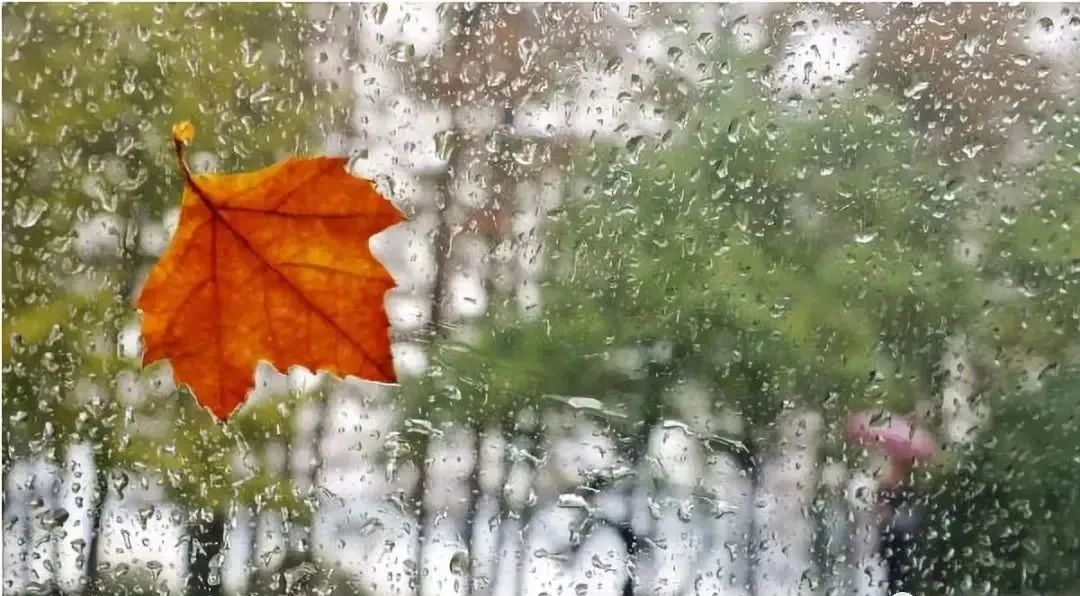 ����˽�Z(y��)