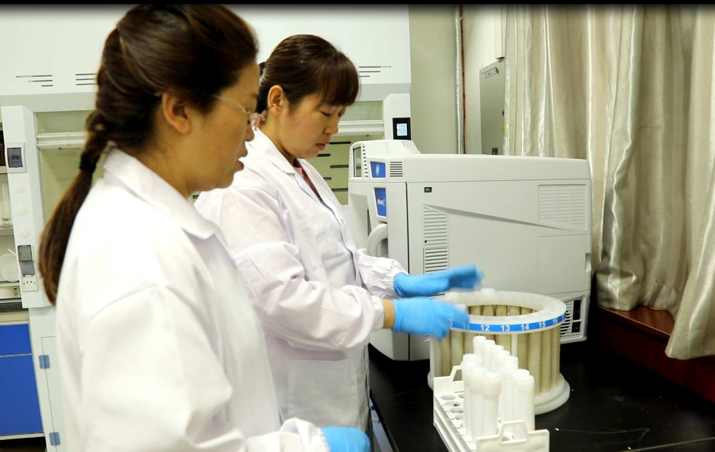 綻質量之花 結品牌碩果 綻質量之花 結品牌碩果