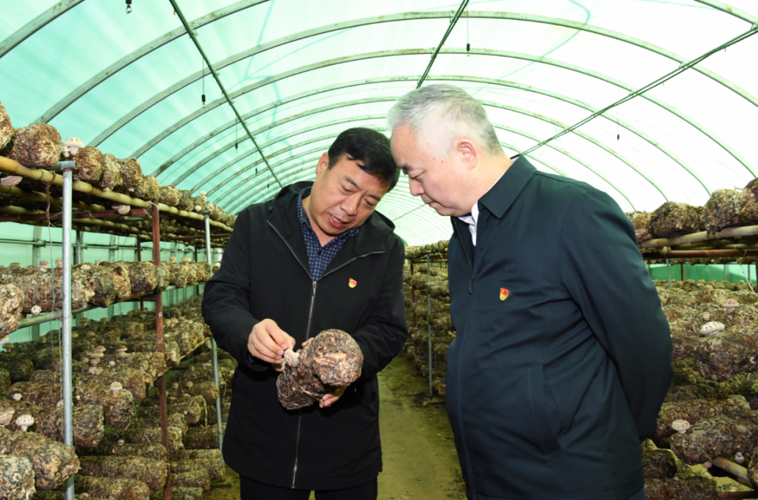 ��嵽���¿h��ֱ�ϴ��_չ�����l�����d�����{��