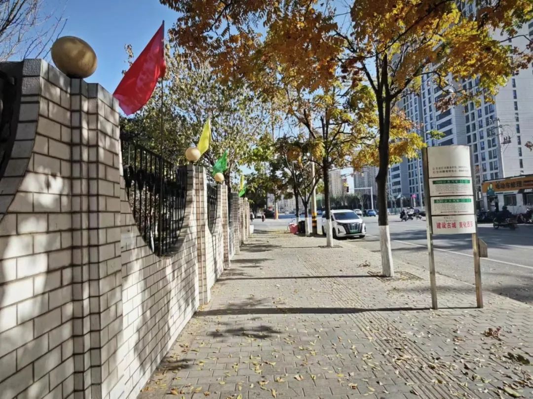 一抹冬日暖陽,照亮你的心房 一抹冬日暖陽,照亮你的心房