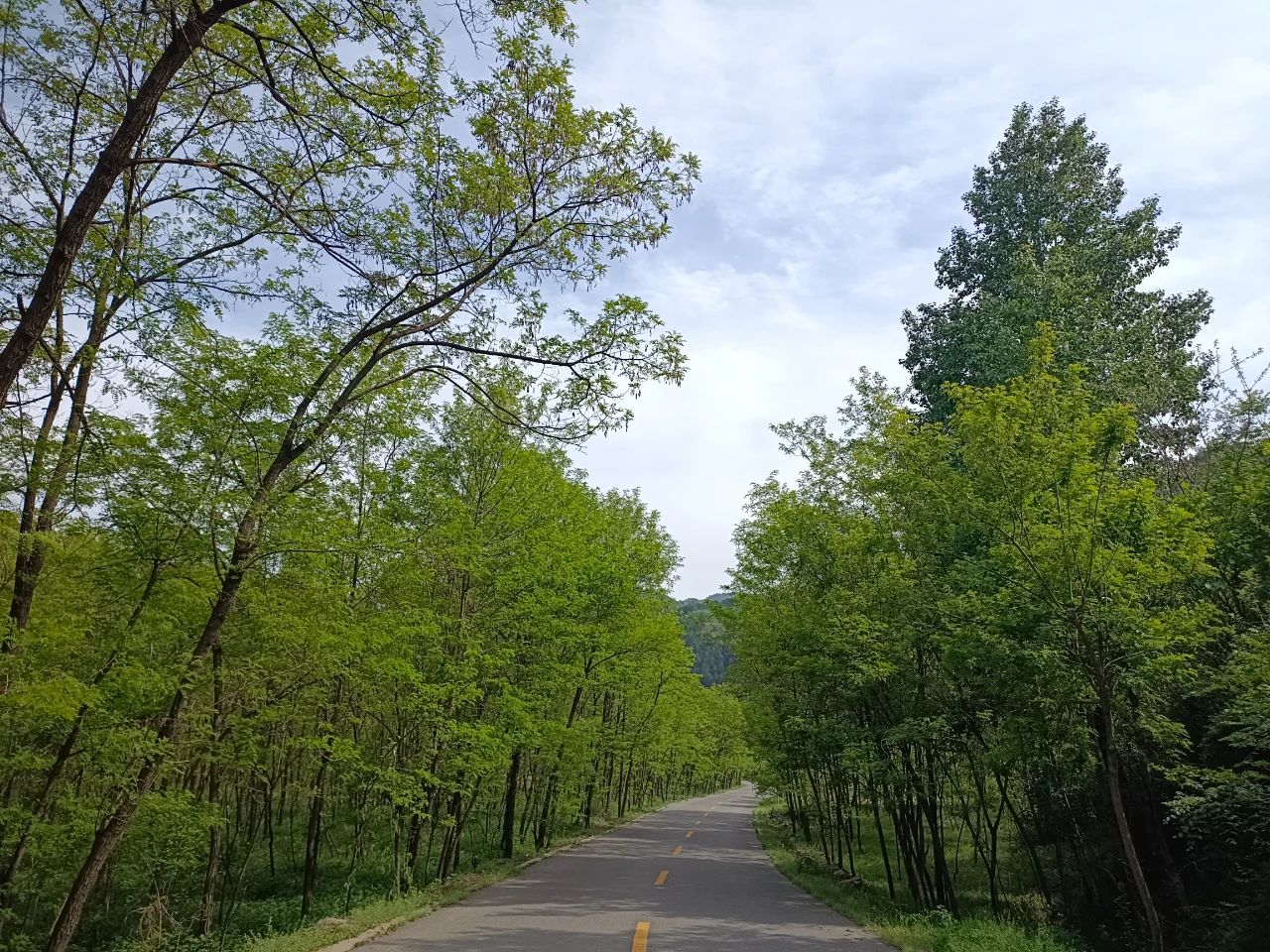 暖香春天 暖香春天