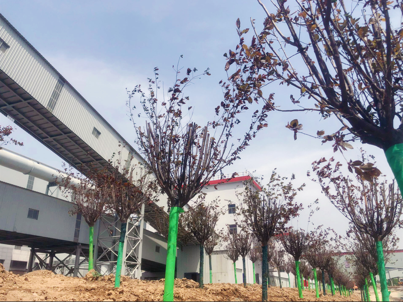 ����䓹�˾�����G����(ji��)�Y1000�fԪ