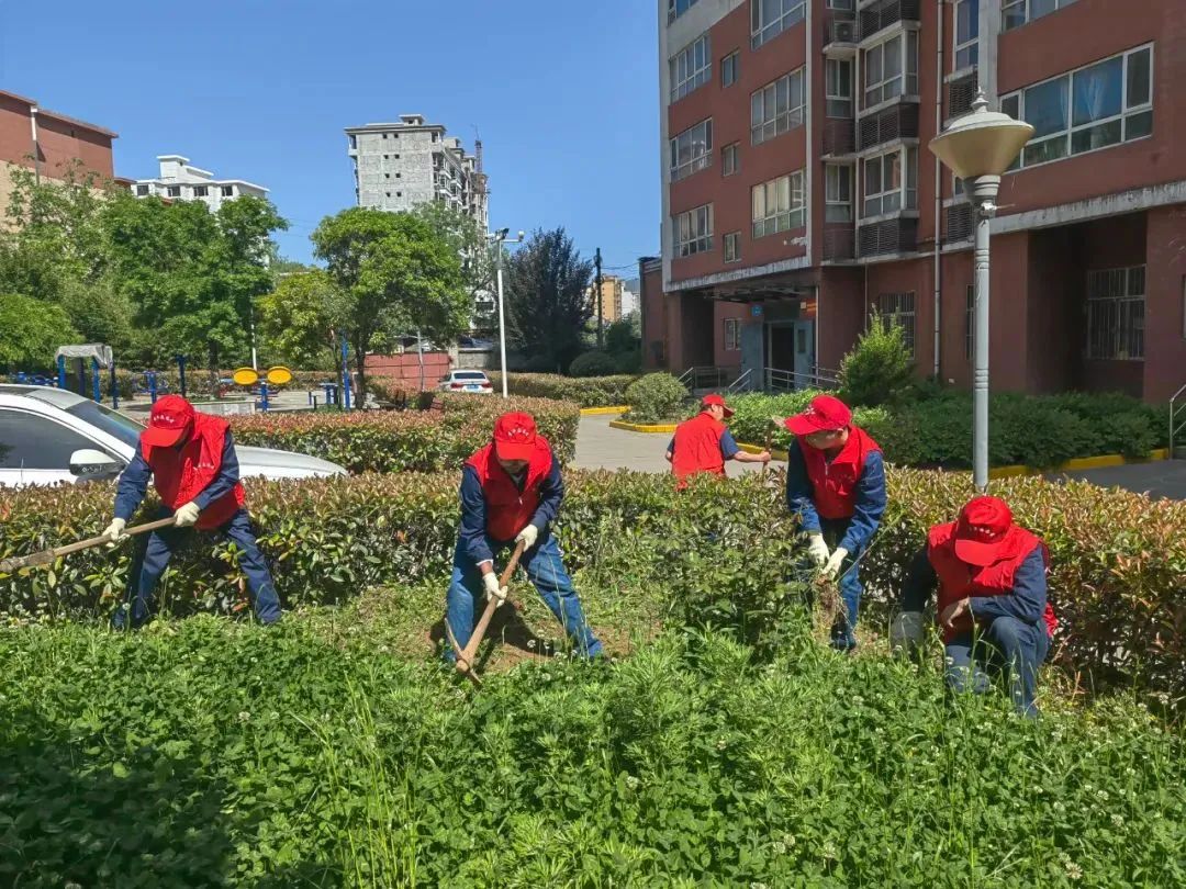 �䓼��F(tu��n)�F(tu��n)ί�_(k��i)չ�����P(y��ng)�ഺ֮�� �^������(d��ng)��r(sh��)���o(j��)����ġ��\(y��n)��(d��ng)105����ϵ�л��(d��ng)