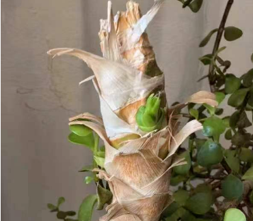 ���������E