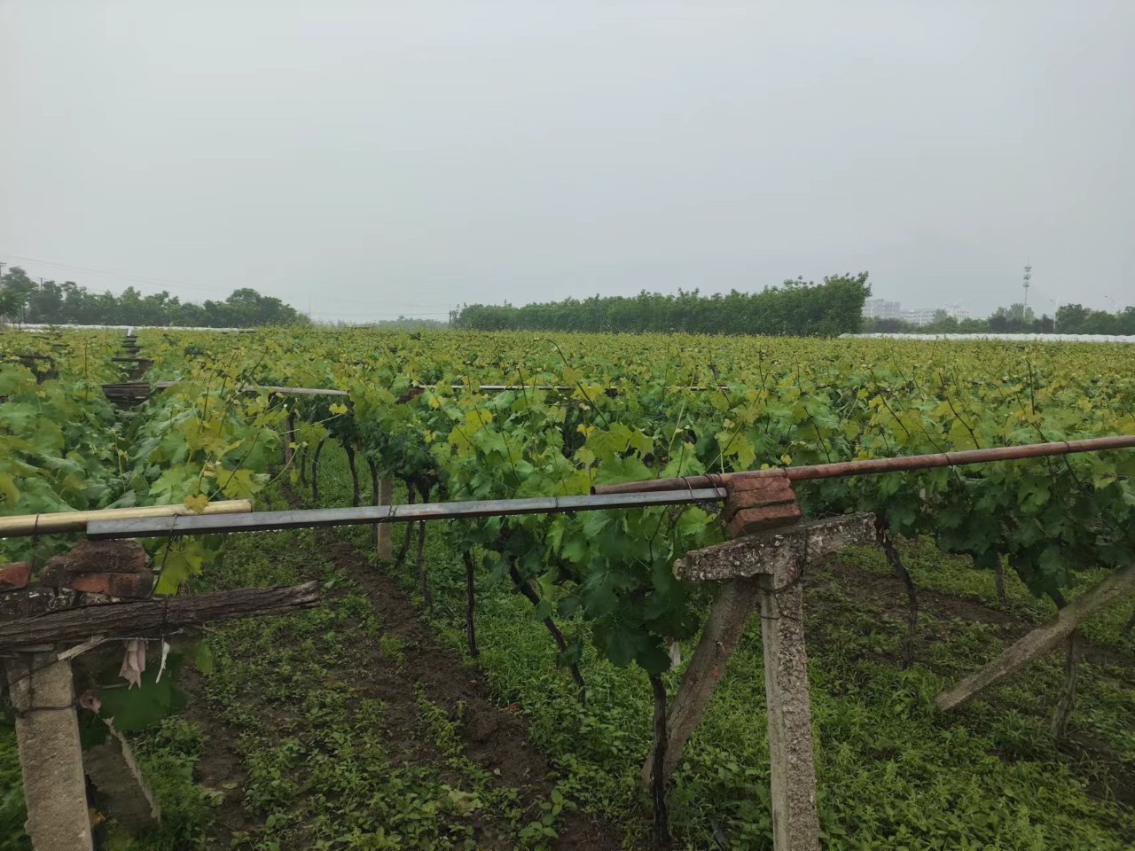 ���ѝ�������L