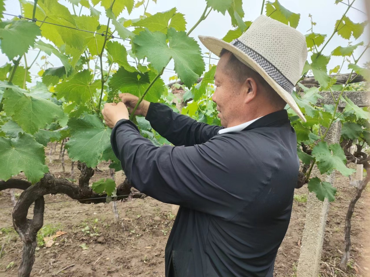 ���ѝ�������L