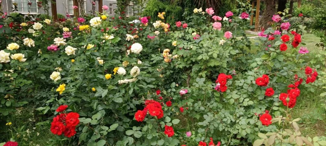 �I��һ��Ԋ��Ժ�ӣ��������o�eȤ����