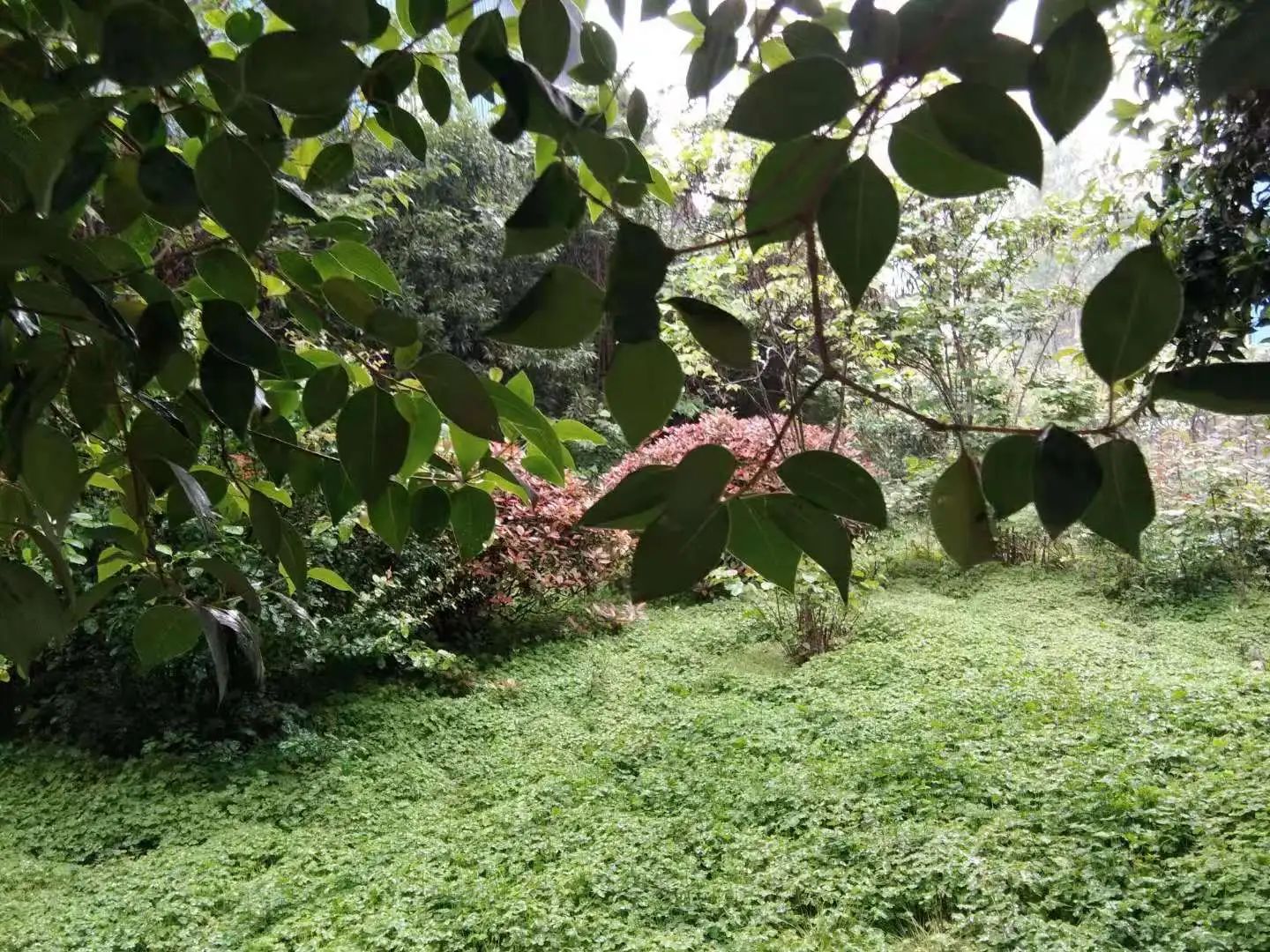 ���Пo�m���q������