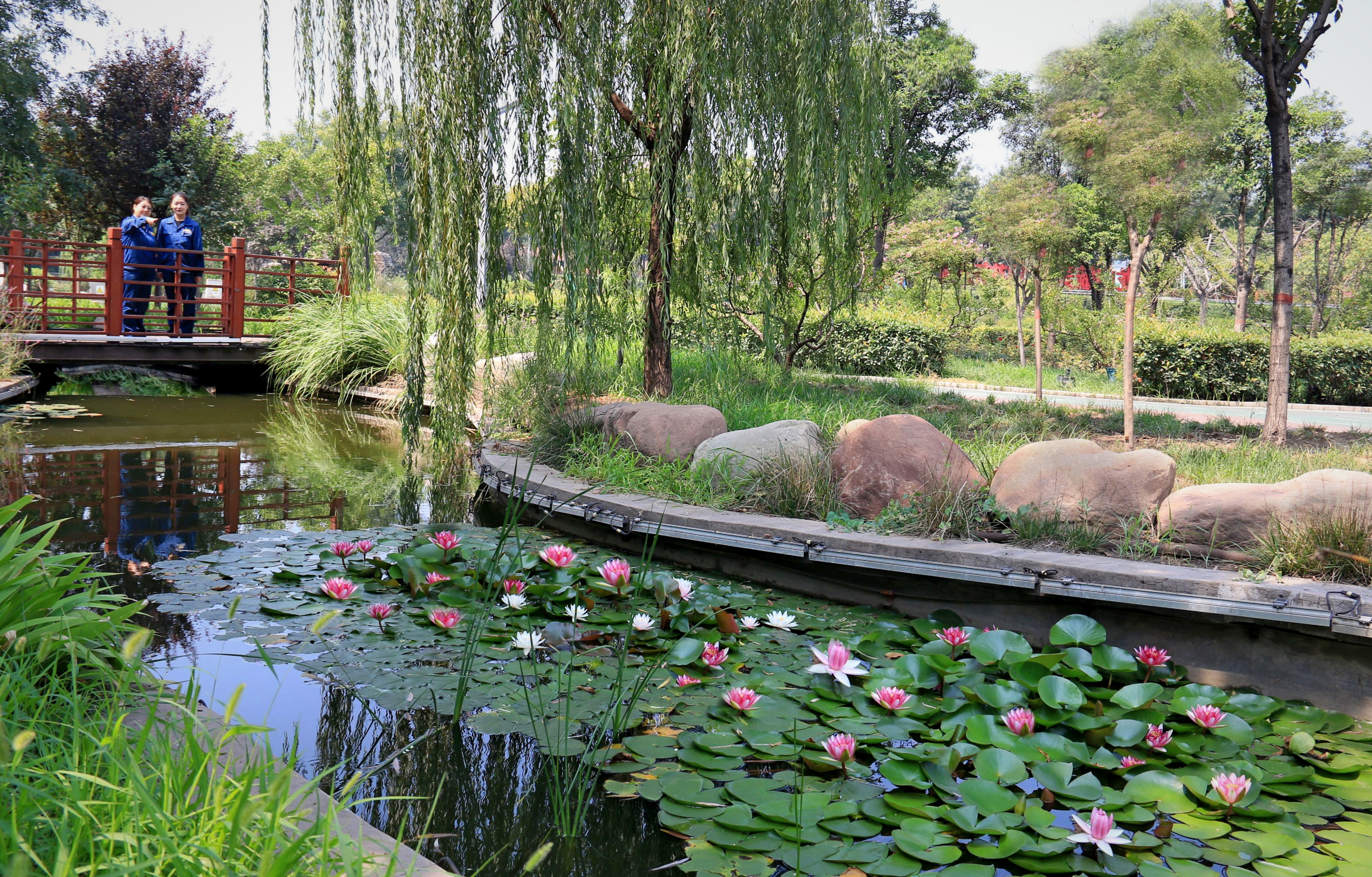 ����䓳���Ҋɏ