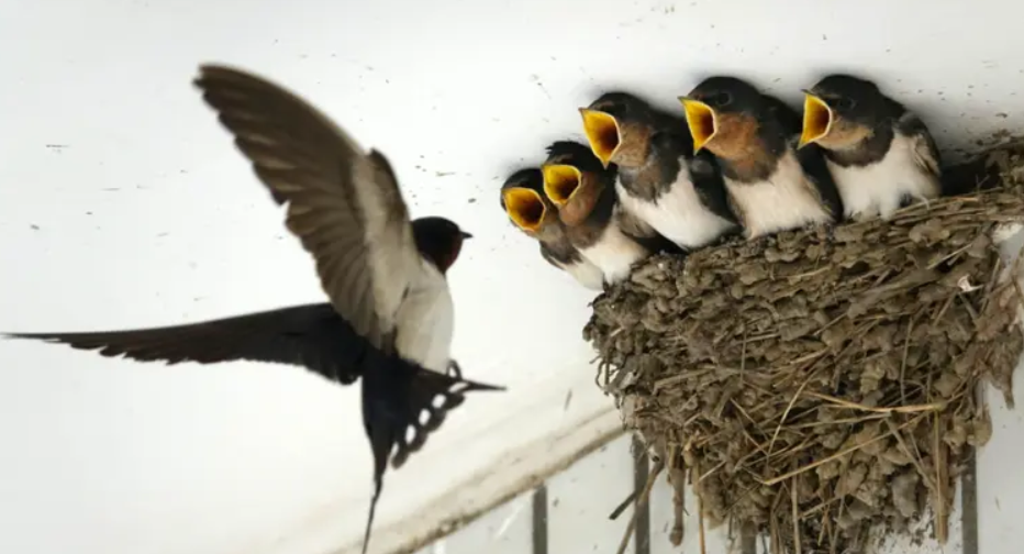 ��Ӱ��� �۝M���g