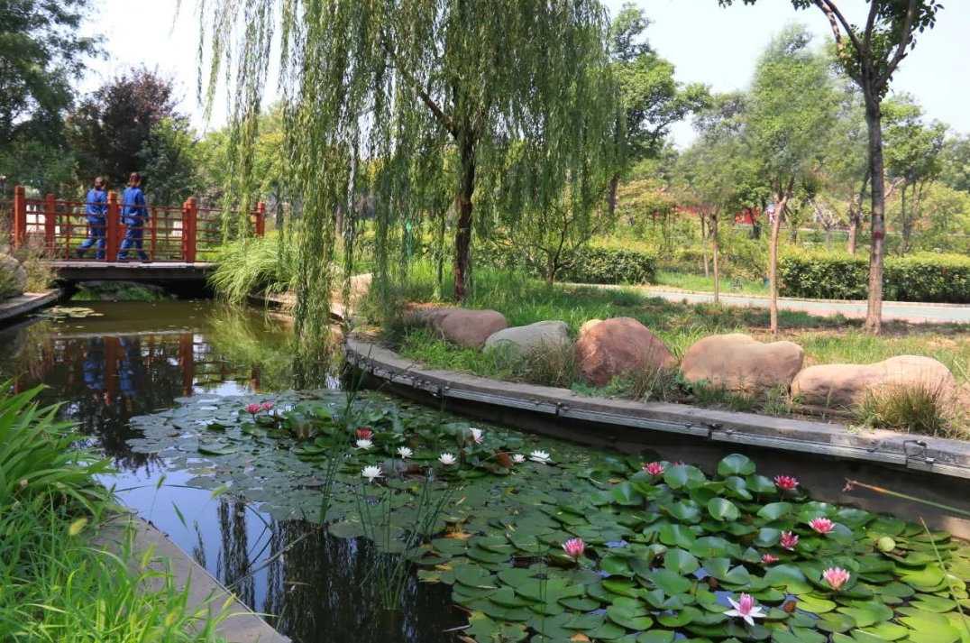 �����۽�������˼��������ģʽ