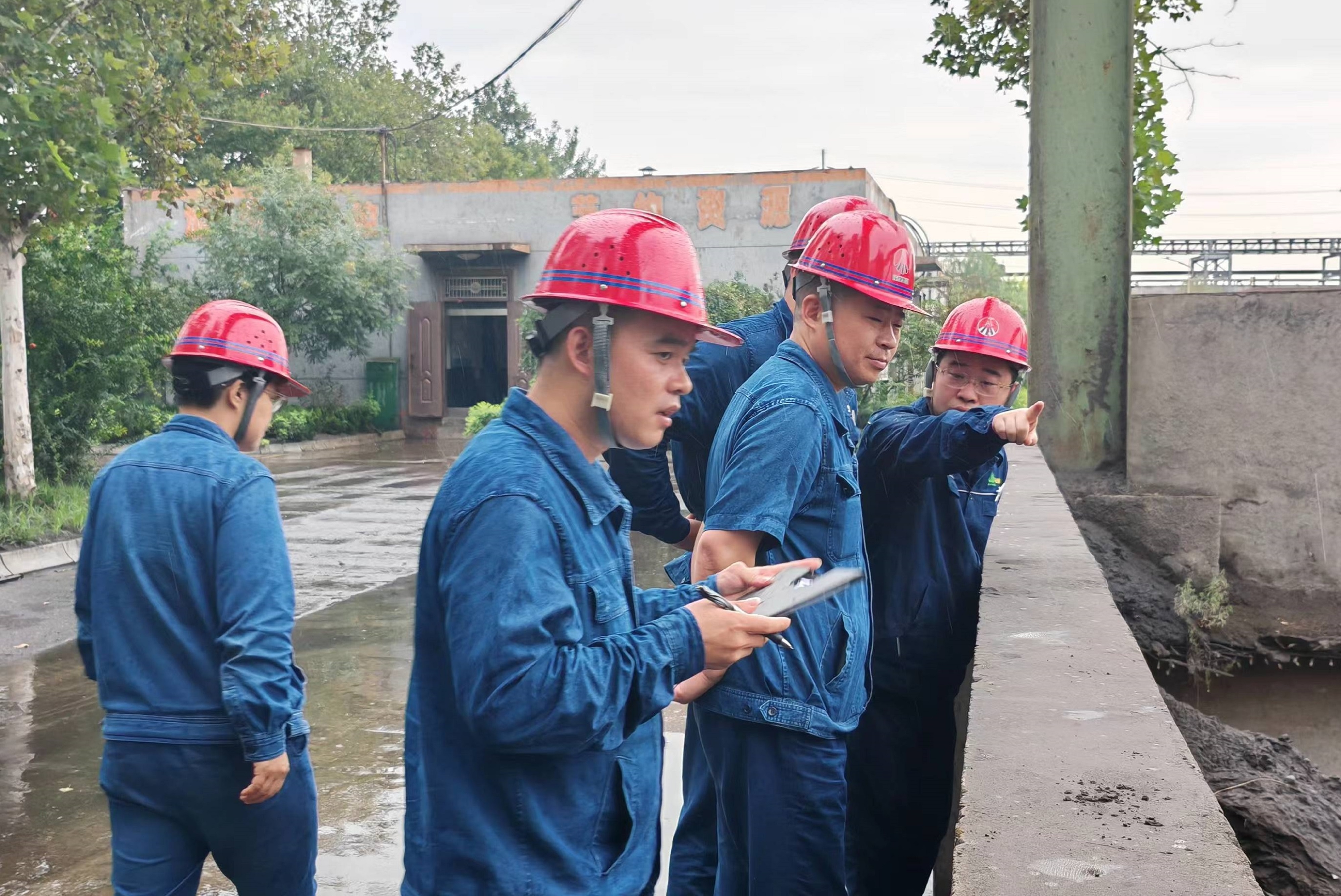 �������o�z�����C�� �����O���|Ч