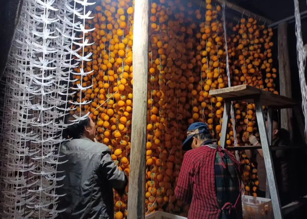 柿香滿園 柿香滿園