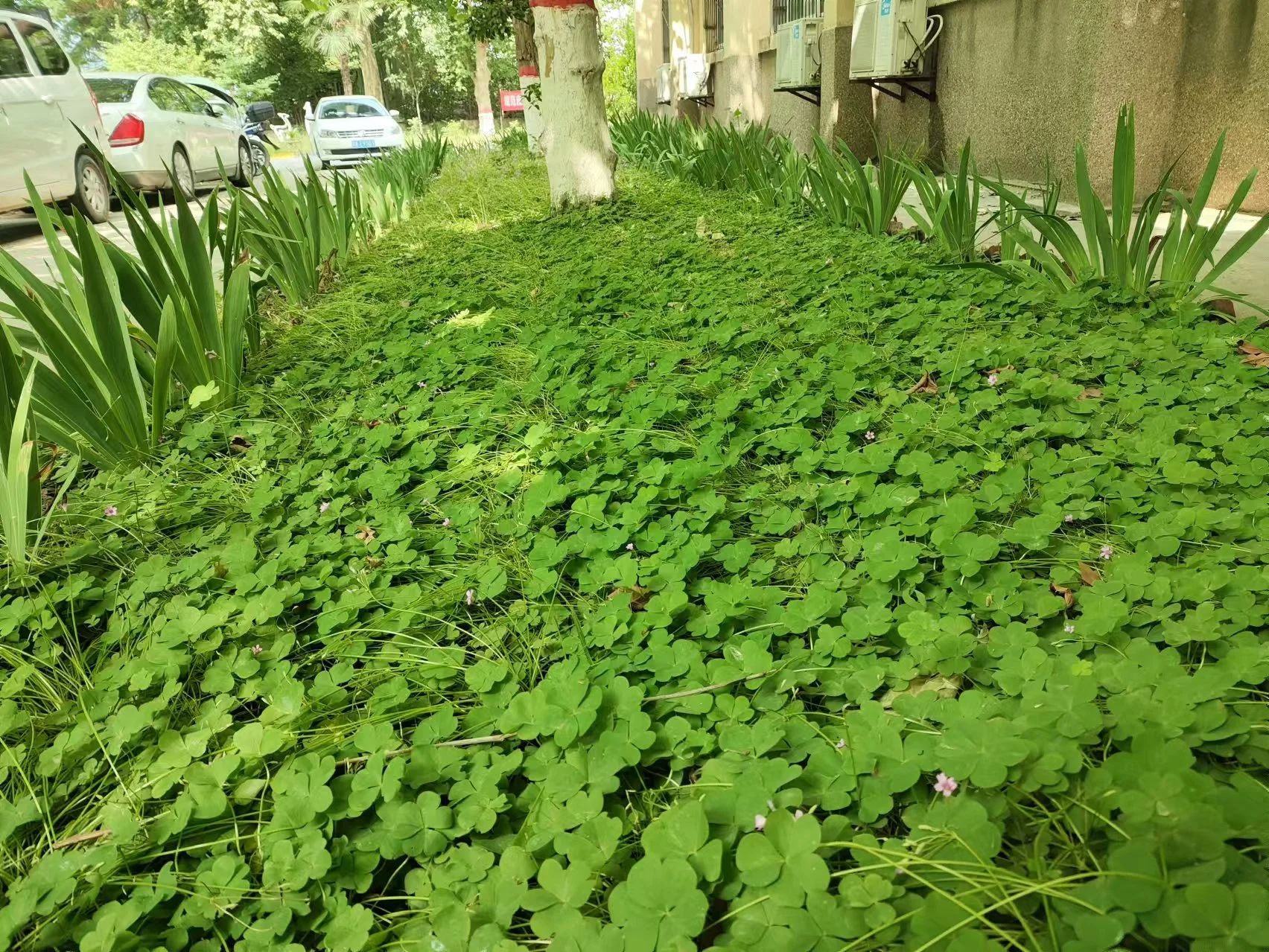 創(chuàng)建溫馨美麗園區(qū) 助推多元產(chǎn)業(yè)發(fā)展 創(chuàng)建溫馨美麗園區(qū) 助推多元產(chǎn)業(yè)發(fā)展