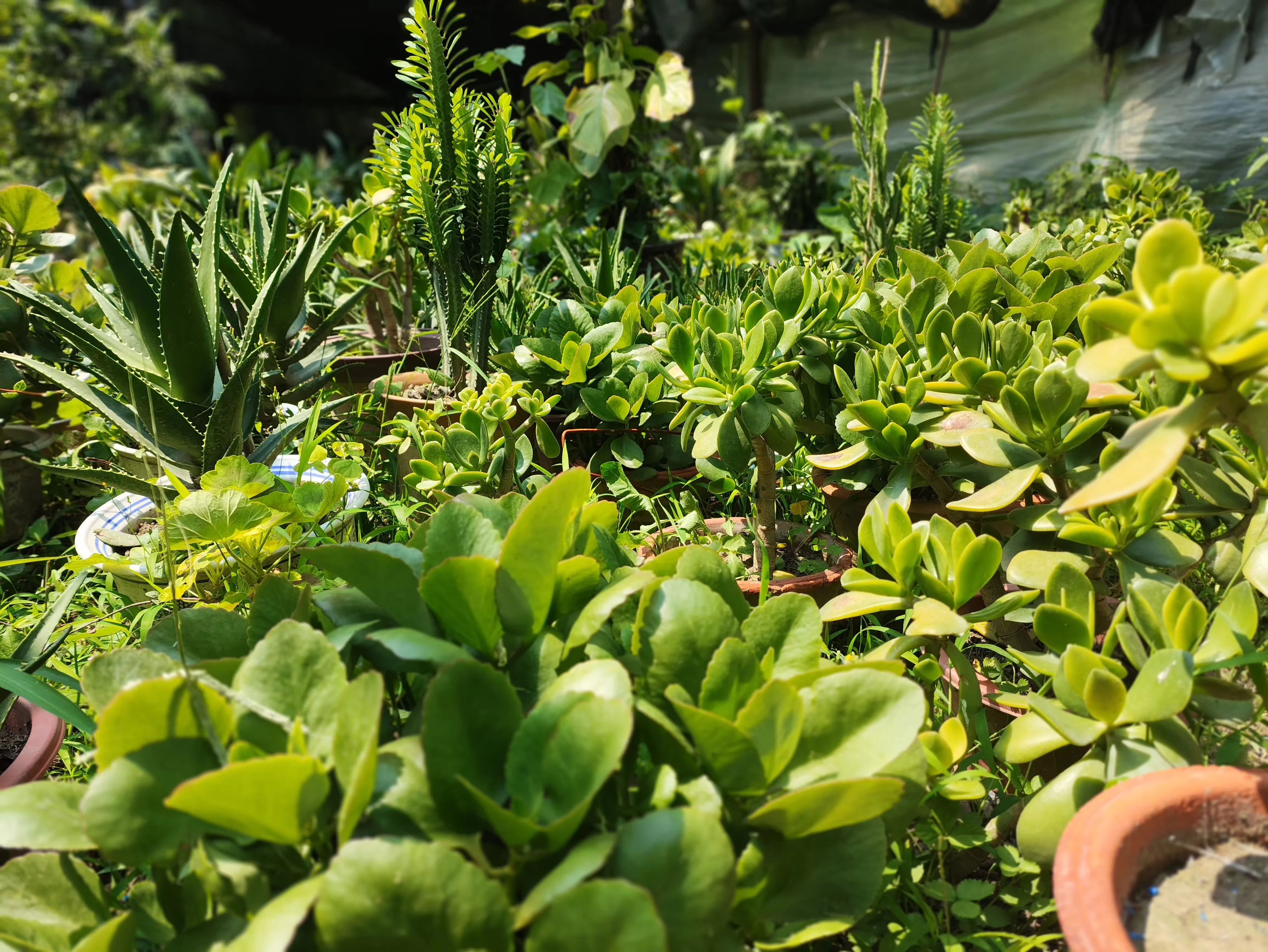 創(chuàng)建溫馨美麗園區(qū) 助推多元產(chǎn)業(yè)發(fā)展 創(chuàng)建溫馨美麗園區(qū) 助推多元產(chǎn)業(yè)發(fā)展