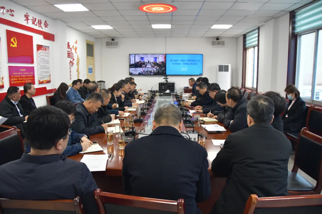 龍鋼集團:落實“六項要求”,推進延伸產業增量發展 龍鋼集團:落實“六項要求”,推進延伸產業增量發展