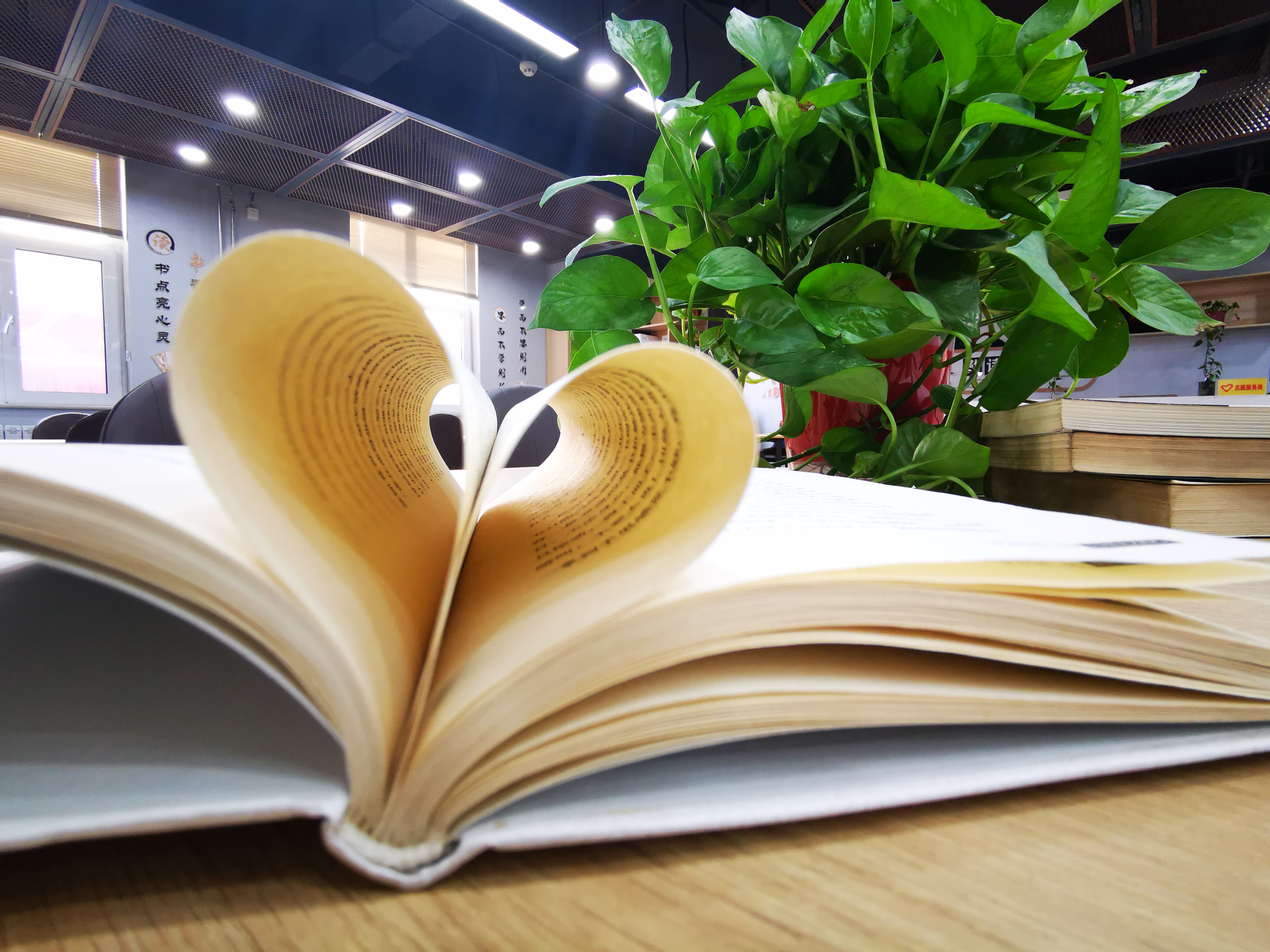 將生活過成自己喜歡的模樣 將生活過成自己喜歡的模樣