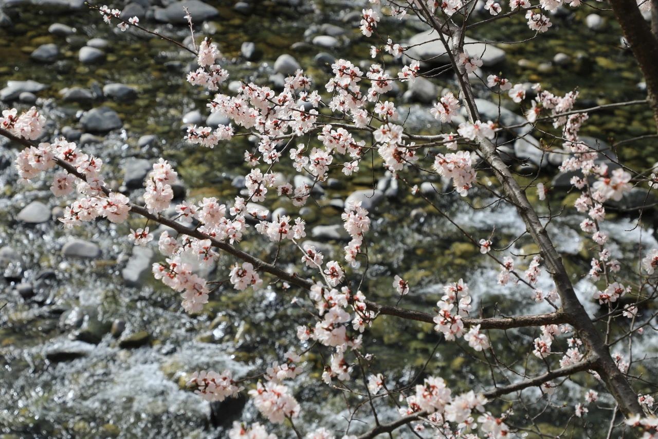 ӭ����˽�Z