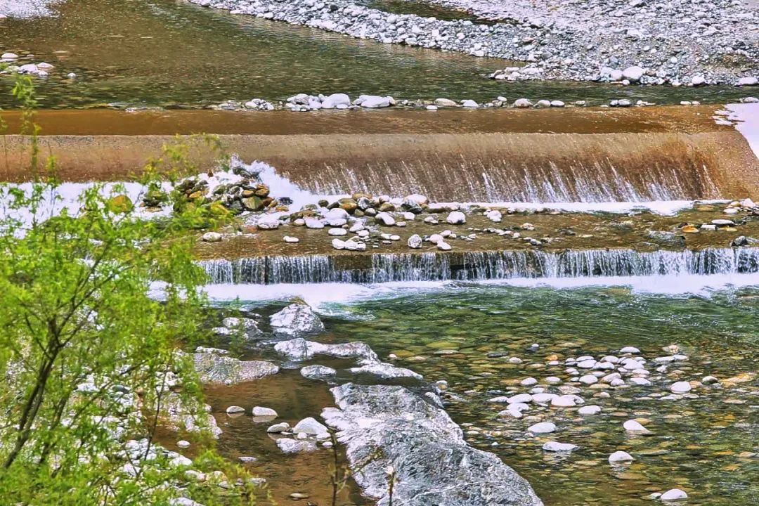 ӭ����˽�Z