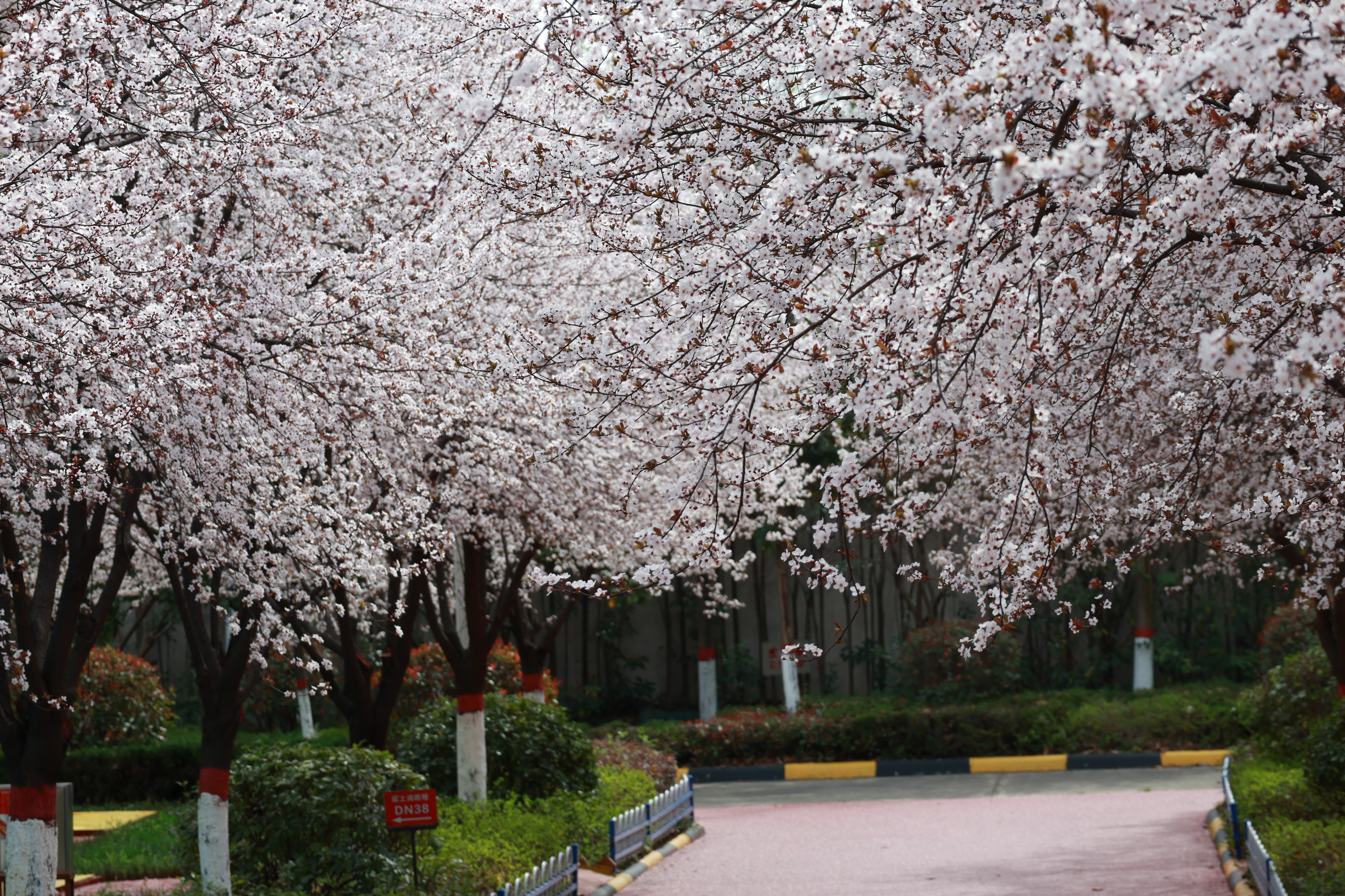 ��G���� �����������䓼��F�h䓹�˾�����Gɫ䓳��´��