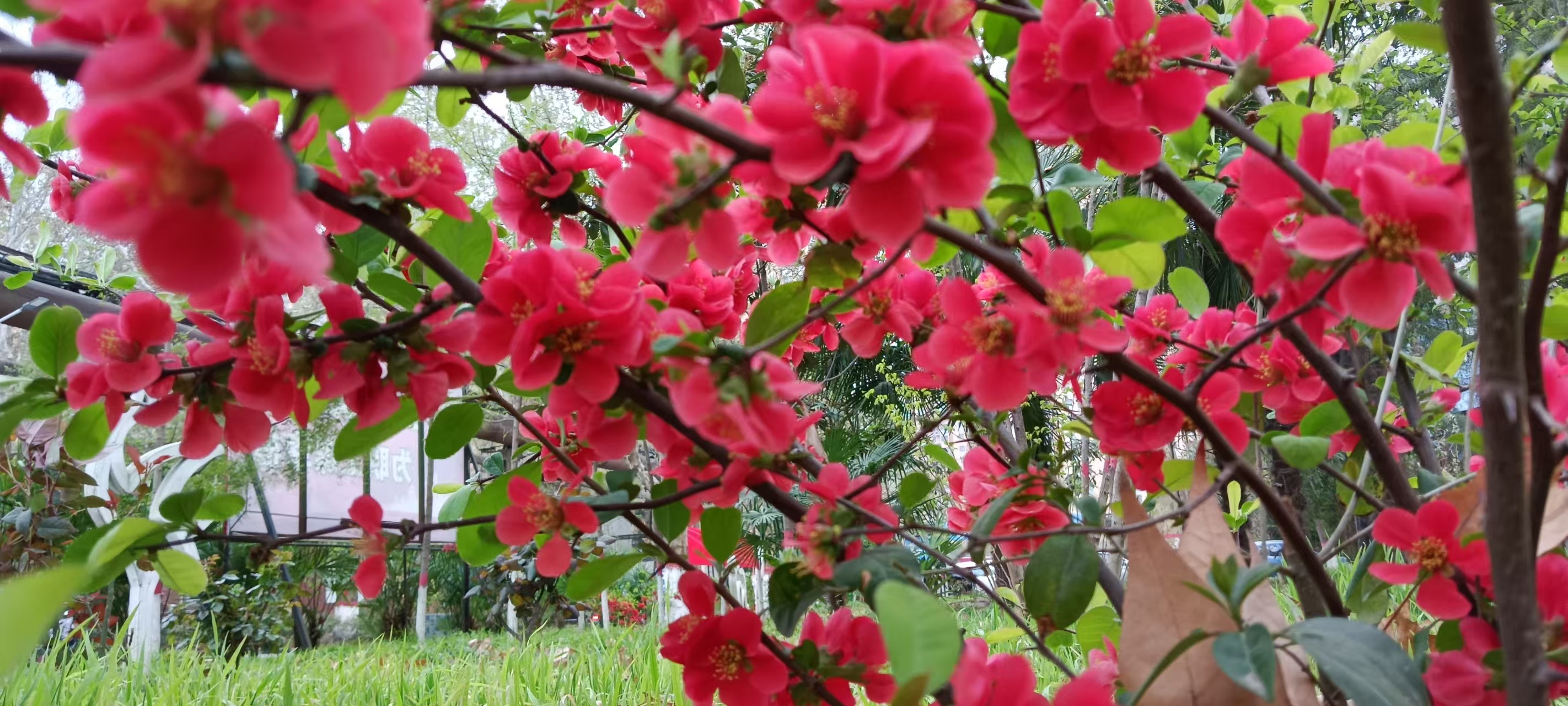 �����ڻ��@Ԋ��