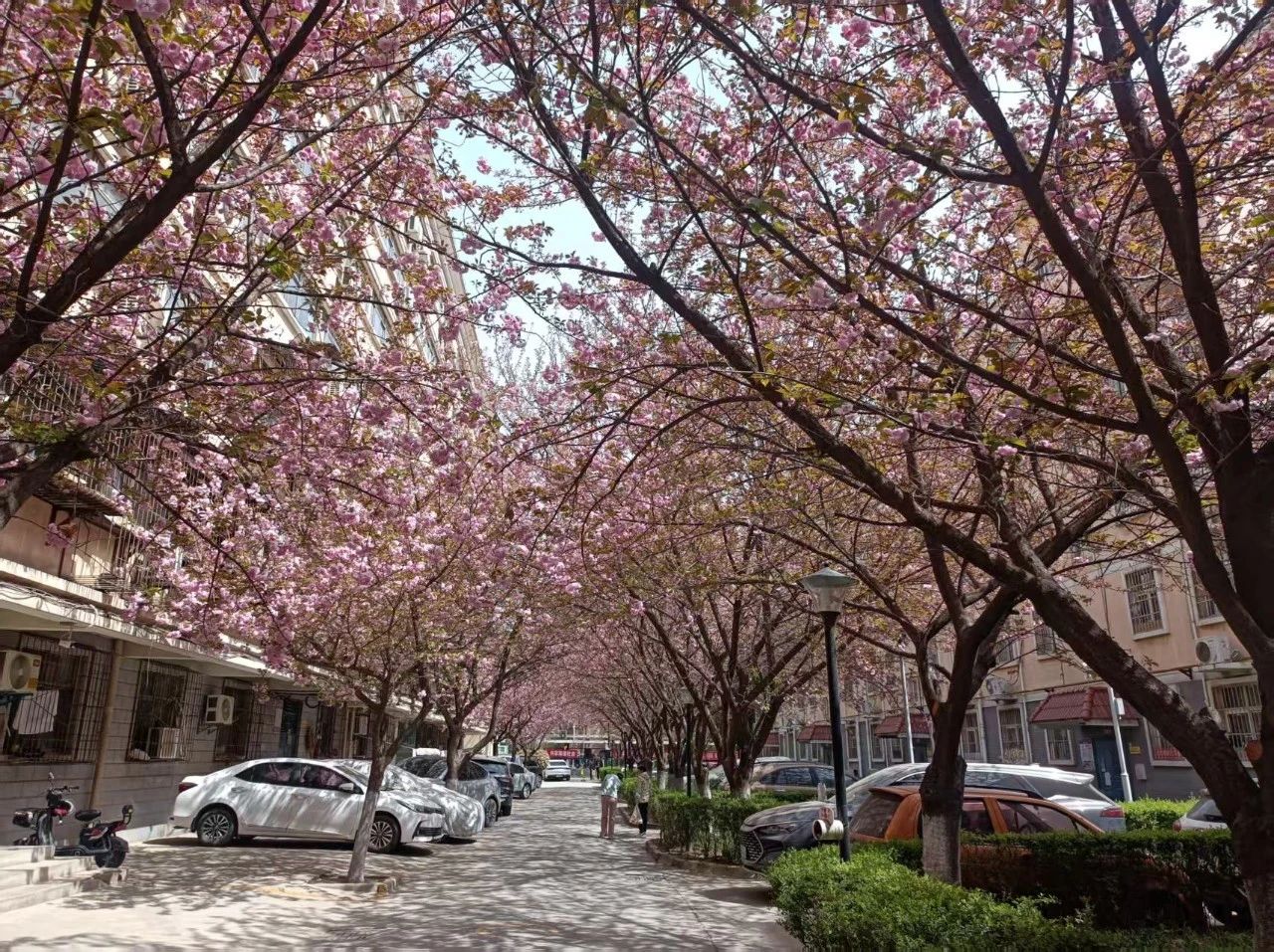 �ѻ����µ�˼��