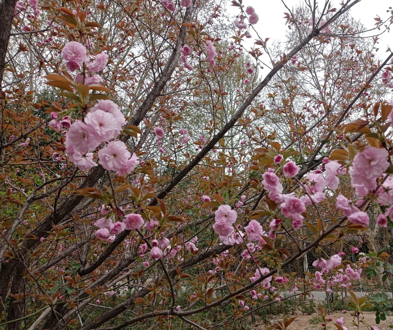 �ѻ����µ�˼��