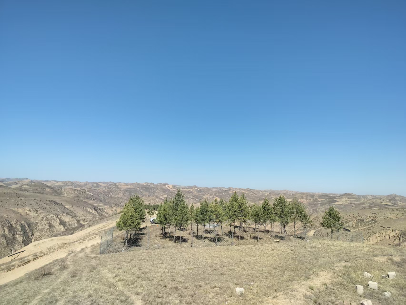 �S�����ϵ�����