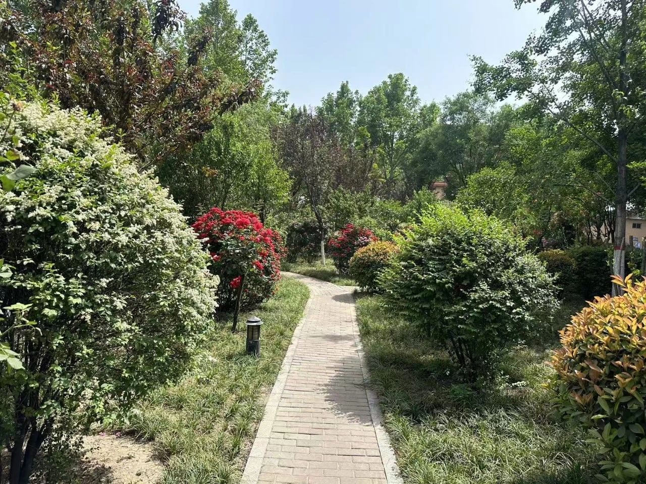 邂逅初夏 邂逅初夏