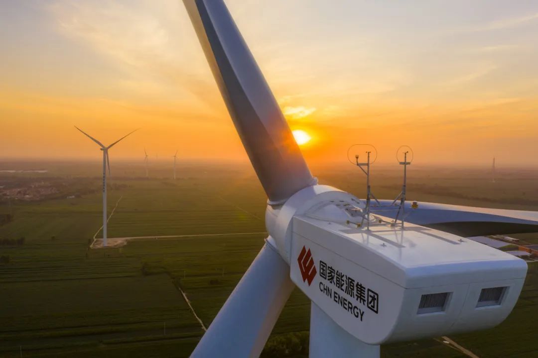 “禹龍”鋼材賦能國能白水風電項目,鑄就綠色能源合作典范 “禹龍”鋼材賦能國能白水風電項目,鑄就綠色能源合作典范