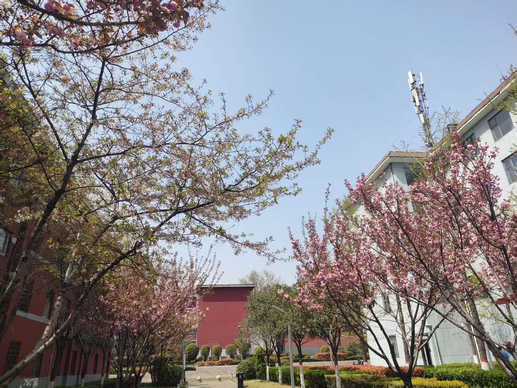 鋼城智變:在時代洪流中筑起綠色長城 鋼城智變:在時代洪流中筑起綠色長城