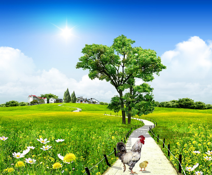 【改革開(kāi)放40周年】回家的路 【改革開(kāi)放40周年】回家的路